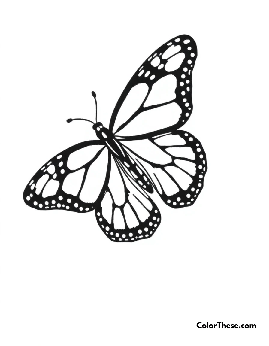 Free printable butterfly monarch beauty coloring page. A detailed Monarch butterfly with its distinctive orange and black pattern wings.