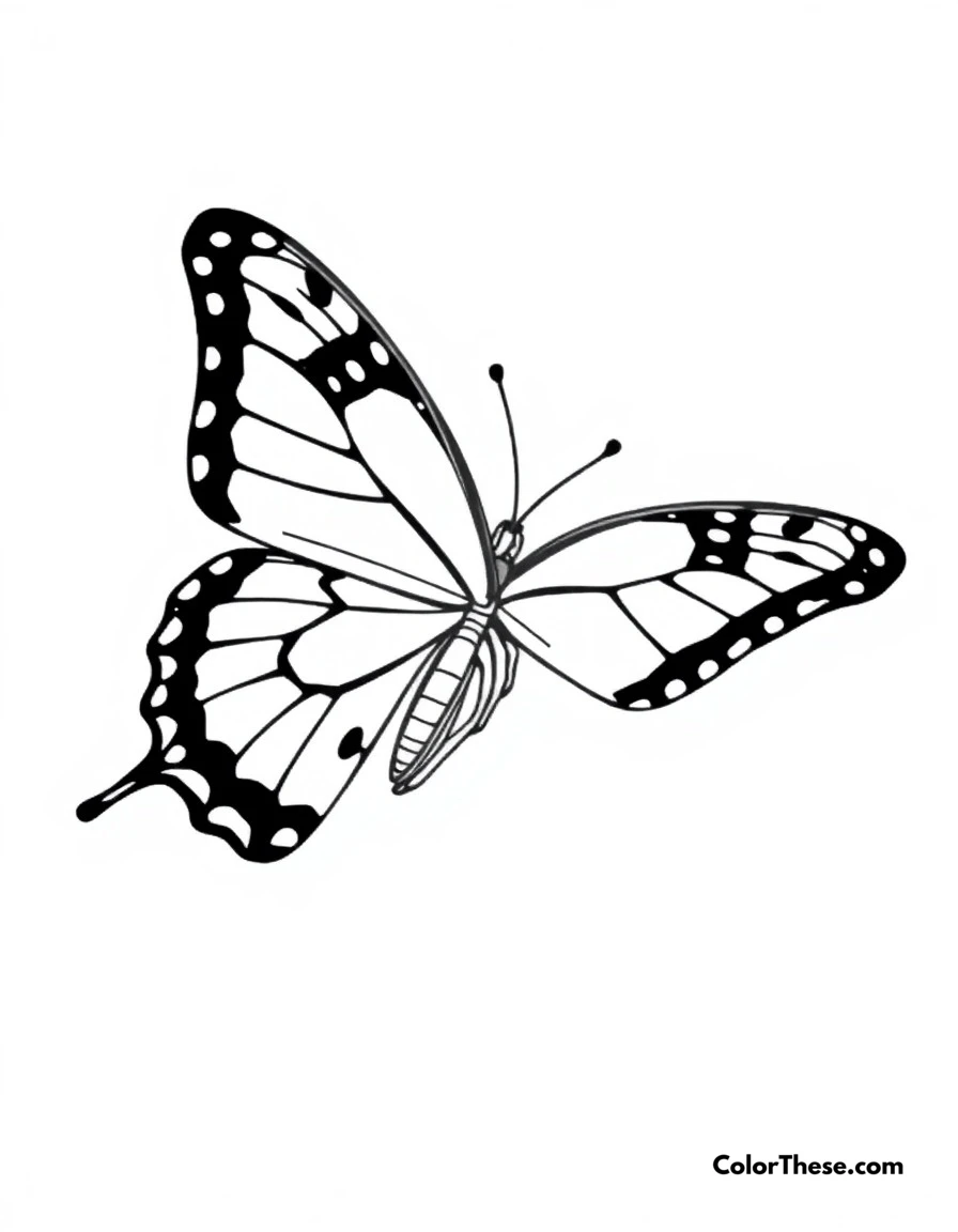 Free printable butterfly swallowtail dance coloring page. A graceful Swallowtail butterfly showing off its distinctive tail-like wing extensions.
