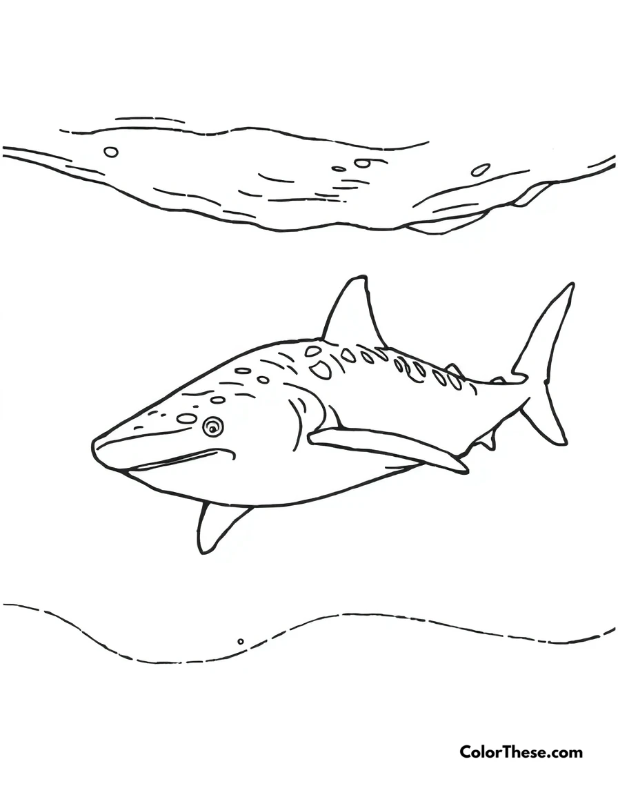 Free printable whale shark coloring page. A whale shark swimming peacefully in the ocean.