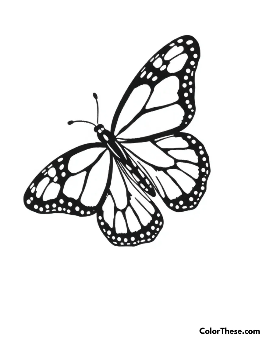 Free printable butterfly monarch beauty coloring page for kids and adults. A detailed Monarch butterfly with its distinctive orange and black pattern wings.