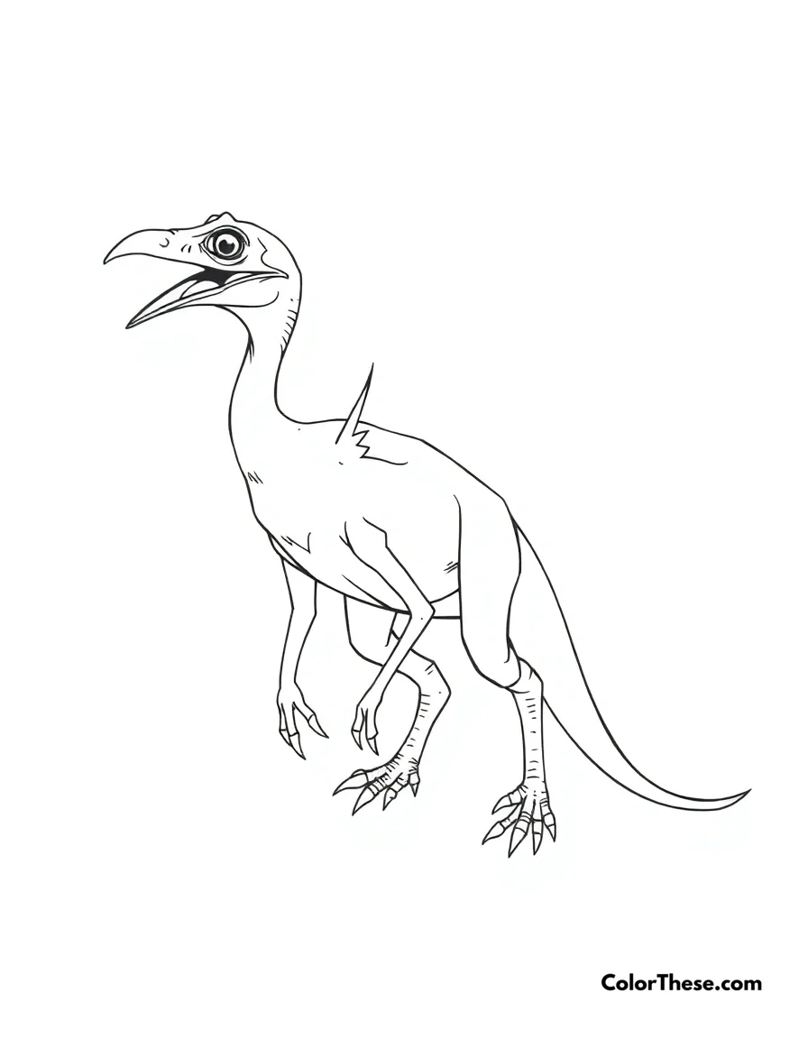 Free printable feathered archaeopteryx coloring page for kids and adults. An Archaeopteryx showing its early bird-like features.