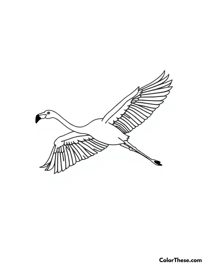 Free printable flamingo in flight coloring page for kids and adults. A flamingo soaring through the sky with its wings spread wide.