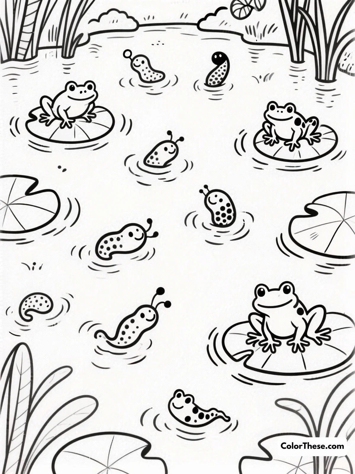Free printable playful tadpoles and froglets coloring page for kids and adults. Dive into the playful world of tadpoles and froglets with this delightful coloring page, perfect for all ages. Bring this lively pond scene to life with your unique colors and creativity!